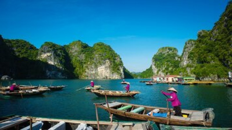 Halong Bay to Ninh Binh