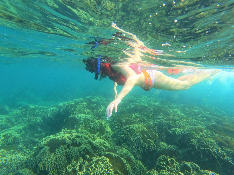 Snorkeling at Phu Quy Island