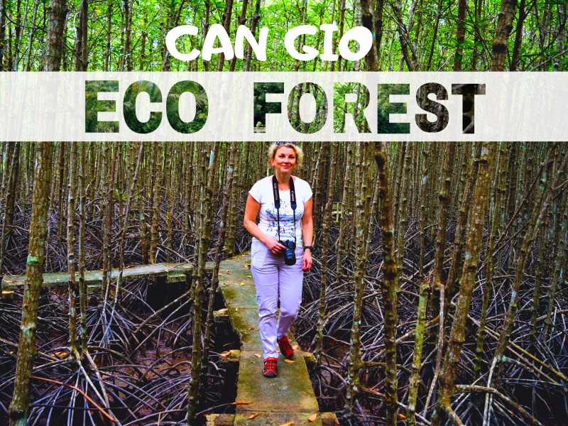 SG04: CAN GIO ECO FOREST