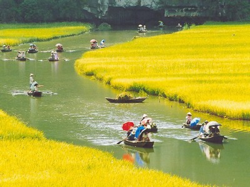 HN01: HOA LU - TAM COC 洞穴