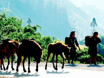 SAPA-SUPAN-BAN HO-NAM TOONG
