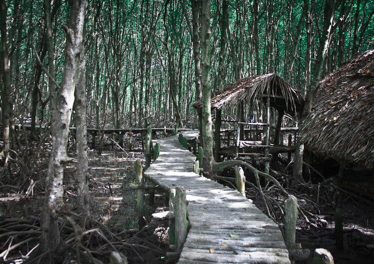 SG04: CAN GIO ECO FOREST