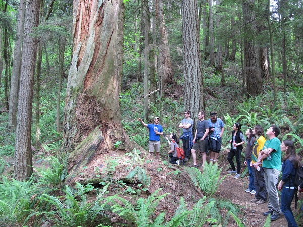 HU06: BACH MA NATIONAL PARK (FULL DAY)