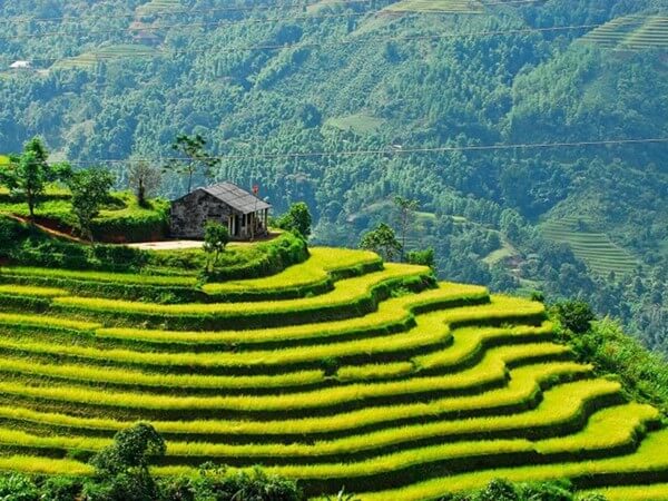 SAP07:SAPA - HILL TRIBES KERMIS - SAPA TREKKING TOUR