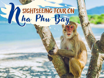 NT06: Sightseeing tours on Nha Phu bay