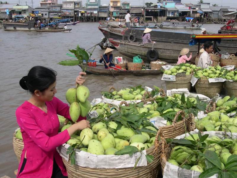 Fresh Mangoes