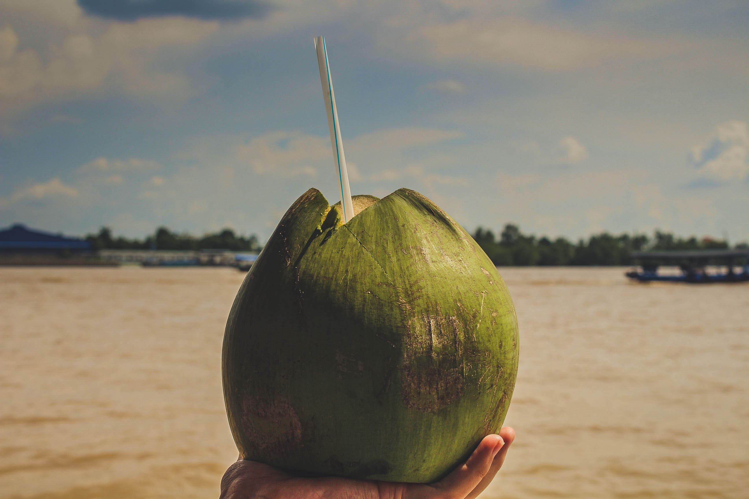 coconut is one of tropical fruit famous 